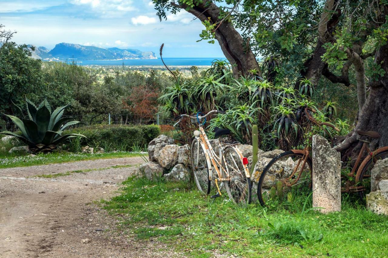 Agroturismo Can Guillo Vila Pollença Exterior foto