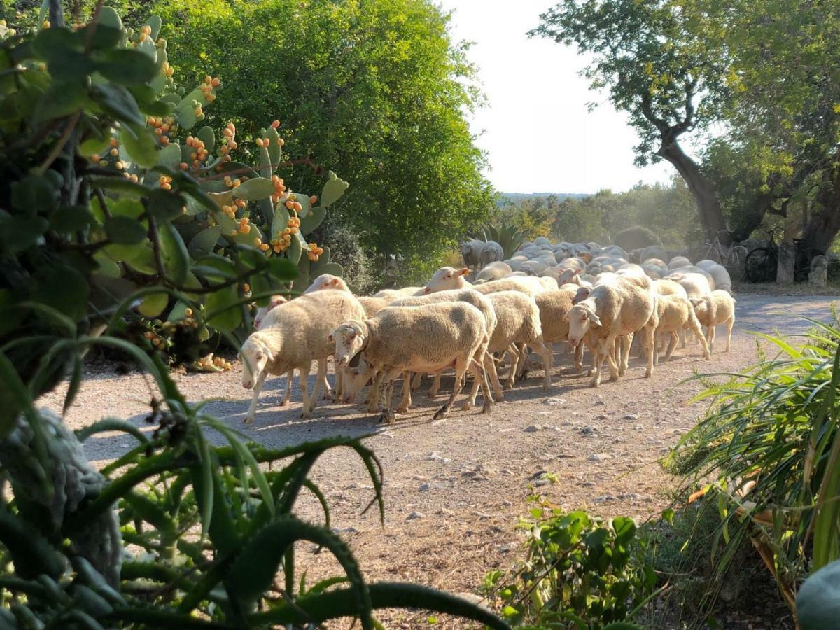 Agroturismo Can Guillo Vila Pollença Exterior foto